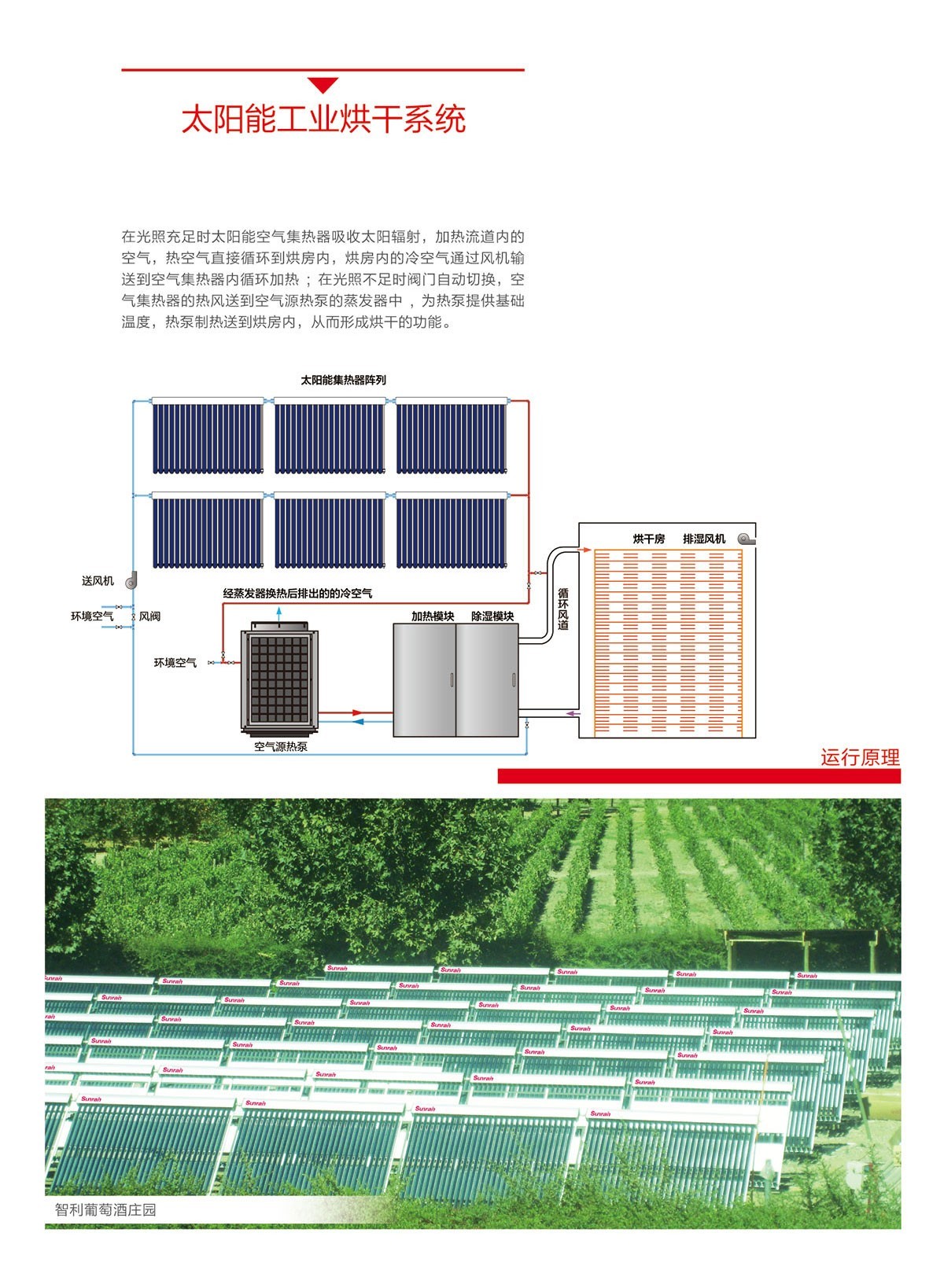 太陽雨太陽能|太陽能熱水器|燃氣熱水器|電熱水器|抽油煙機|燃氣灶具