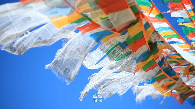 西藏盲校公益項目